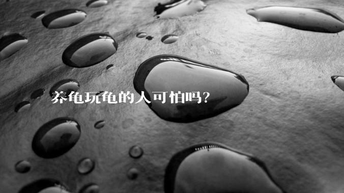 养龟玩龟的人可怕吗？